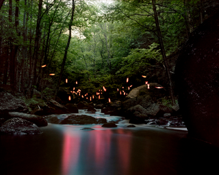 Illustration for article titled What Is The Meaning Of These Strange Glowing Shapes In The Wilderness?